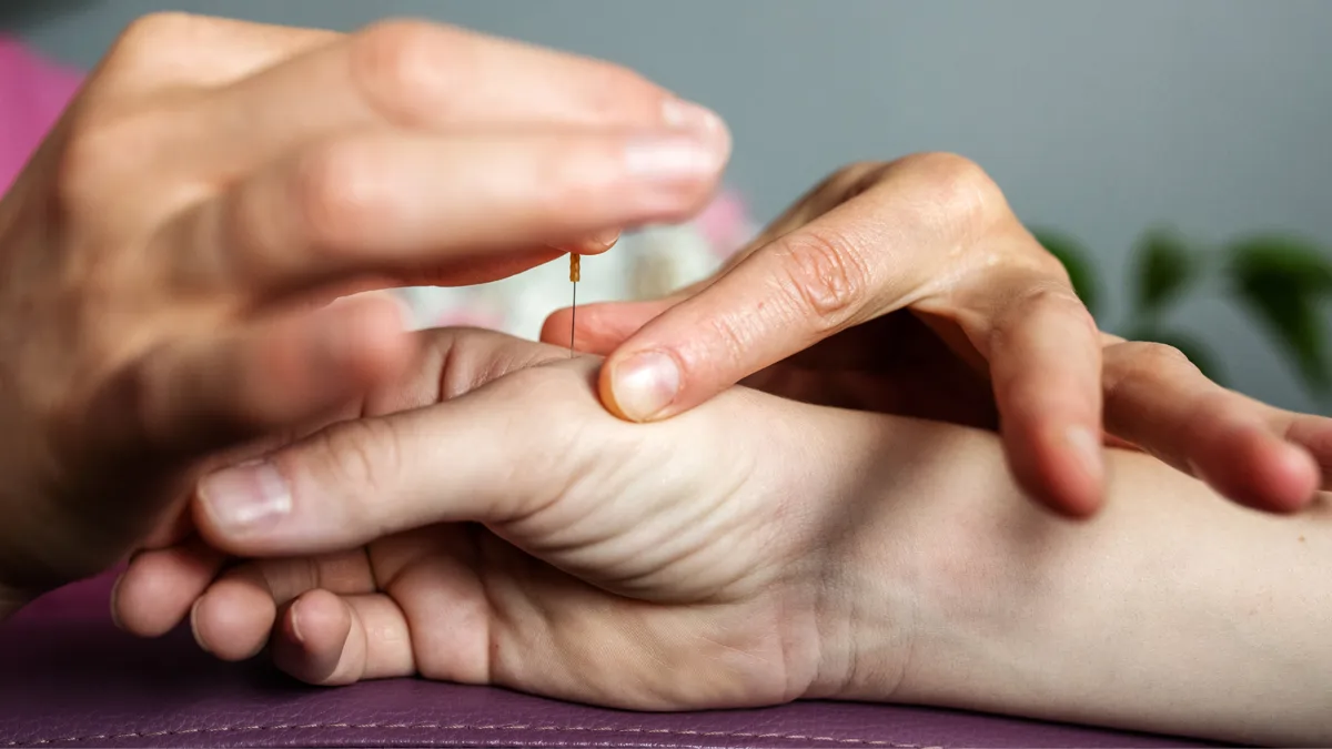 Sesión de acupuntura clínica del Sistema de MTC y Master Tung .
